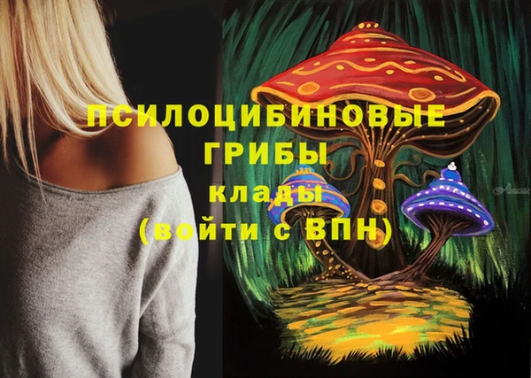кокаин премиум Алексеевка
