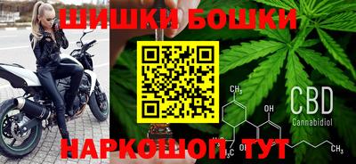 гашик Аргун