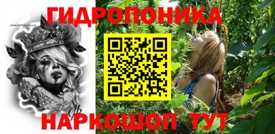 гашик Аргун