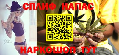Альфа ПВП Будённовск