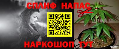 гидра Апрелевка