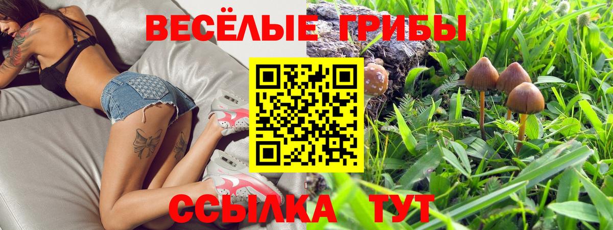 Псилоцибиновые грибы Psilocybine cubensis Дедовск