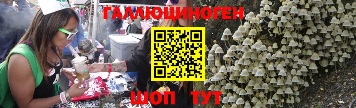 Псилоцибиновые грибы GOLDEN TEACHER Дедовск